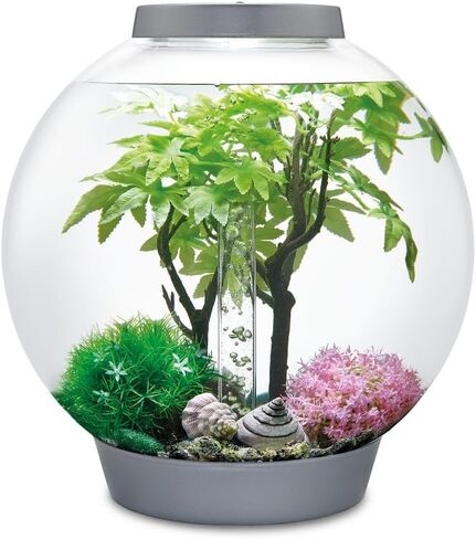 بايورب طقم ديكور 15 لتر خريفي، متعدد الالوان، صغير (عبوة من قطعة واحدة) in Kuwait