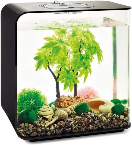 بايورب طقم ديكور 15 لتر خريفي، متعدد الالوان، صغير (عبوة من قطعة واحدة) in Kuwait