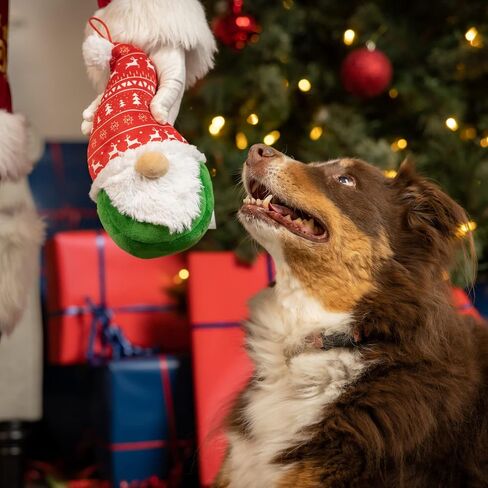 Huxley & Kent for Dogs | Tree Rex Dino (Large) | Christmas Holiday Dog Toy with Squeaker | Funny Dog Toy Gift | Fun, Durable, and Safe | H&K Squeaky Dog in Saudi Arabia