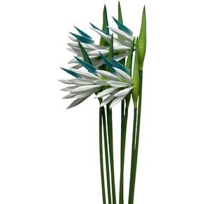 8 Pack 21-1/2 Inch Artificial Flowers Bird of Paradise,Green Plant for Home Garden Decoration Office Verandah Wedding Decorations (Red)