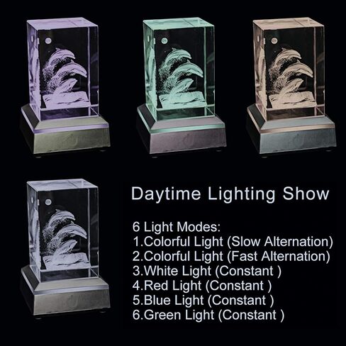 3D Dolphins Crystal Cube with Lamp Base Stand - K9 Crystal Decorative Ornament with LED Base, Night Light with 6 Colors, Decent Home Office Ornament in Saudi Arabia