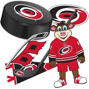 Desert Cactus Carolina Hurricanes Team NHL National Hockey League Sticker Vinyl Decal Laptop Water Bottle Car Scrapbook (Type 2)