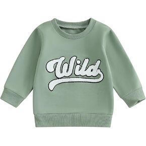 Toddler Boy Fall Clothes Long Sleeve Crewneck Pullover Thin Sweatshirt Letter Embroidered Shirts Kids Casual Tops