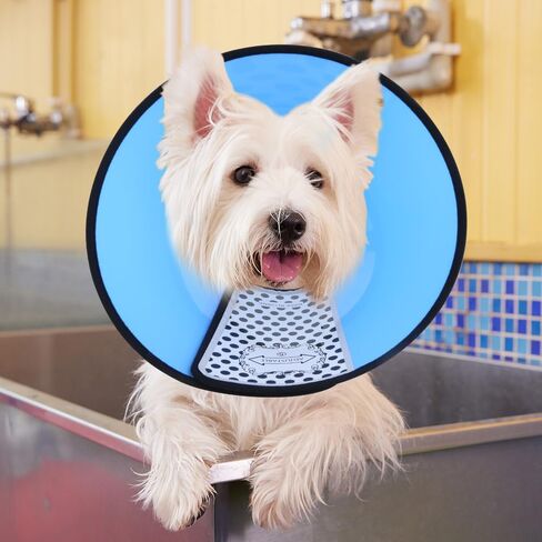 Soft Dog Cone Collar Alternative Small Dogs/Cat, E Cones for Puppy/Kitten to Stop Licking After Surgery, Neuter Recovery Ecollars of Shame Alternatives, Comfortable Paws Comfy Elizabethan Collars in Saudi Arabia
