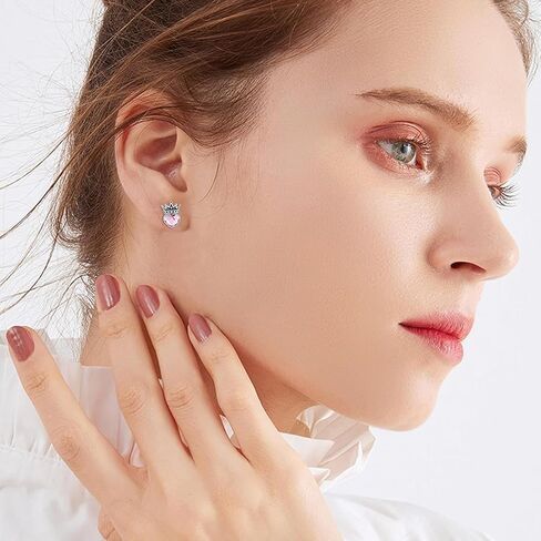 Princess Crown Earrings 925 Sterling Silver Princess Stud Earrings Queen Jewelry for Women Girls Birthday Gifts in Kuwait