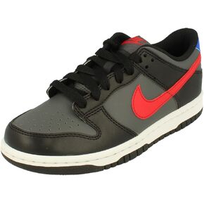 Nike Dunk Low Big Kid Sneakers