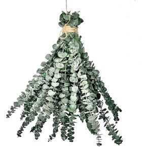 30 قطعة من الأوكالبتوس المجفف لحزمة الدش، نباتات دش سيقان الأوكالبتوس المحفوظة كبيرة الحجم مقاس 43.18 سم للتعليق، أوراق الأوكالبتوس الطازجة، العطر، نبات صناعي يمكنك صنعه بنفسك، ديكور مزهرية الحمام في المنتجع الصحي المنزلي. in Kuwait