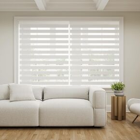 Zebra Blinds Shades for Window Light Filtering Dual Layer Roller Shades Light Control and Protecting Privacy for Home and Office (36" W x 72" H, White)