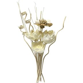 Reed Diffuser Sticks, Reed Diffuser Sticks Flowers, Reed Diffuser Set for Bathroom, Reed Diffuser for Home, Bedroom Decor, Office,12Pcs, Natural Flower