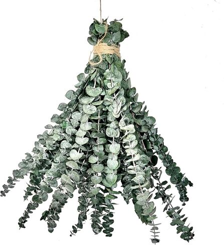 30 قطعة من الأوكالبتوس المجفف لحزمة الدش، نباتات دش سيقان الأوكالبتوس المحفوظة كبيرة الحجم مقاس 43.18 سم للتعليق، أوراق الأوكالبتوس الطازجة، العطر، نبات صناعي يمكنك صنعه بنفسك، ديكور مزهرية الحمام في المنتجع الصحي المنزلي. in Kuwait