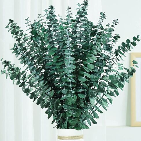 30 قطعة من الأوكالبتوس المجفف لحزمة الدش، نباتات دش سيقان الأوكالبتوس المحفوظة كبيرة الحجم مقاس 43.18 سم للتعليق، أوراق الأوكالبتوس الطازجة، العطر، نبات صناعي يمكنك صنعه بنفسك، ديكور مزهرية الحمام في المنتجع الصحي المنزلي. in Kuwait