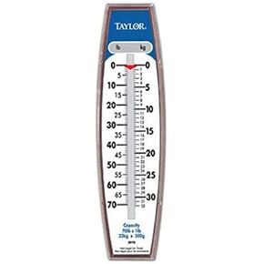 Taylor Hanging Scale (70-Pound/32-Kilogram)