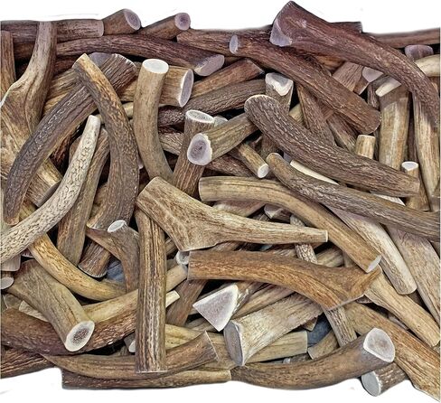 WhiteTail Naturals - قرون الأيائل الممتازة للكلاب - (عبوة بوزن 1 رطل) - مضغ عضوي للكلاب - عظام كلب قرن الوعل المتساقطة بشكل طبيعي - تدوم طويلاً، صُنعت في الولايات المتحدة الأمريكية in Kuwait