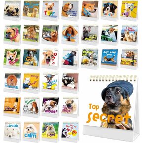 Gethelud 40 Pages Funny Desk Sign, Desktop Flip Book 34 Different Fun and Flip-Over Messages Plus 6 Pages Erasable Blank Cards for Office Gifts Desk Accessories