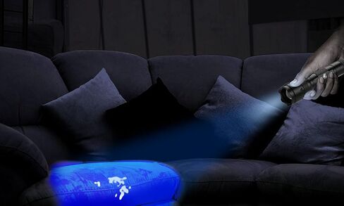 مصباح يدوي للأشعة فوق البنفسجية BlackLight، DULEX 395 - 410nm UV Led Blacklight Flashlight ومجموعة شاحن بطاريات قابلة لإعادة الشحن للاستخدام المهني / التجاري in Saudi Arabia