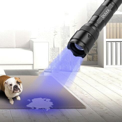 مصباح يدوي للأشعة فوق البنفسجية BlackLight، DULEX 395 - 410nm UV Led Blacklight Flashlight ومجموعة شاحن بطاريات قابلة لإعادة الشحن للاستخدام المهني / التجاري in Saudi Arabia