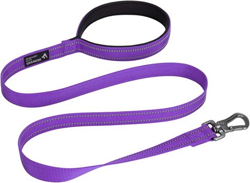 مقود تدريب الكلاب الممتاز من النايلون القوي والمتين، حبل جر بطول 4 أقدام وعرض 3/4 بوصة مع مقبض للكلاب الصغيرة (أحمر) in Kuwait