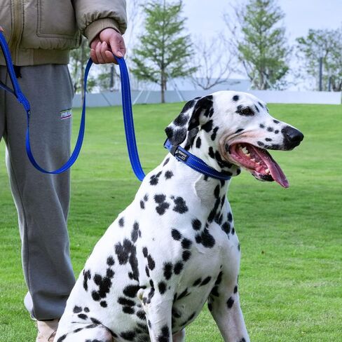 مقود تدريب الكلاب الممتاز من النايلون القوي والمتين، حبل جر بطول 4 أقدام وعرض 3/4 بوصة مع مقبض للكلاب الصغيرة (أحمر) in Kuwait