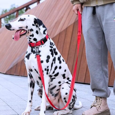 مقود تدريب الكلاب الممتاز من النايلون القوي والمتين، حبل جر بطول 4 أقدام وعرض 3/4 بوصة مع مقبض للكلاب الصغيرة (أحمر) in Kuwait