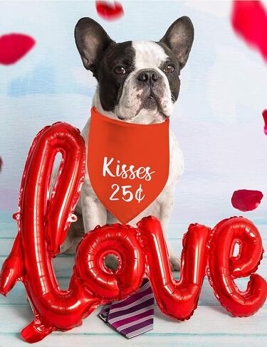 Valentine's Day Dog Bandanas, I Love You Red Heart Double Sided 2 Pack Holiday Puppy Bandanas Dog Kerchief Gifts (03) in Kuwait