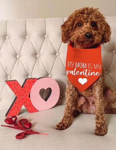 Valentine's Day Dog Bandanas, I Love You Red Heart Double Sided 2 Pack Holiday Puppy Bandanas Dog Kerchief Gifts (03) in Kuwait