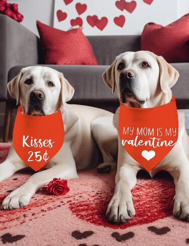 Valentine's Day Dog Bandanas, I Love You Red Heart Double Sided 2 Pack Holiday Puppy Bandanas Dog Kerchief Gifts (03) in Kuwait