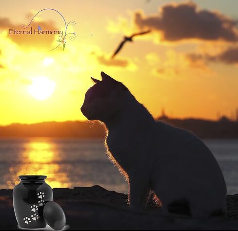 Eternal Harmony Cremation Urn for Animal Ashes | Funeral Urn Carefully Handcrafted with Elegant Finishes to Honor and Remember Your Pet | Dogs and Cats Urn with Beautiful Velvet Bag (Black, Large) in Saudi Arabia