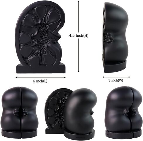 Kidney Bookend for Shelves Decorative, Handmade Kidney Sculpture Bookends Supports, Black Non-Skid Book Stoppers for Heavy Books, Heavy Duty Book Ends for Home Office School(1 Pair) in Saudi Arabia