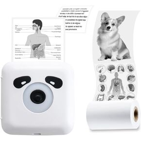 طابعة حرارية محمولة vretti TP6S، طابعة جيب صغيرة بلوتوث متوافقة مع Android وiOS، طابعة صور جيب لاسلكية 300 نقطة في البوصة لقائمة عمل iPhone والملاحظات والمجلات والسفر