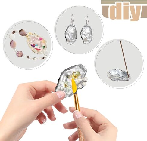 50 قطعة من أصداف المحار السائبة لحشو مزهرية ديكور المنزل، والحلي، والفنون والحرف اليدوية، وأصداف البحر، والأصداف المسطحة 3"-4" in Kuwait