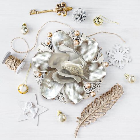 50 قطعة من أصداف المحار السائبة لحشو مزهرية ديكور المنزل، والحلي، والفنون والحرف اليدوية، وأصداف البحر، والأصداف المسطحة 3"-4" in Kuwait