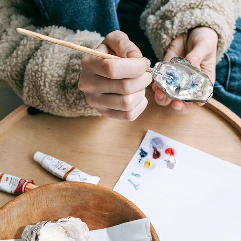 50 قطعة من أصداف المحار السائبة لحشو مزهرية ديكور المنزل، والحلي، والفنون والحرف اليدوية، وأصداف البحر، والأصداف المسطحة 3"-4" in Kuwait