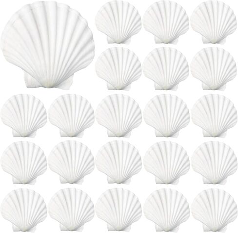 40 Pack Sea Shells, White Scallop Shells for Craft, 2-3 Inches Real Seashells for Themed Party Decorations in Kuwait