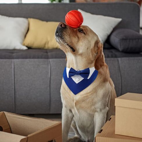 Formal Dog Tuxedo Bandana, 1 PCS Dog Wedding Bandana Adjustable Blue Neckerchief for Dogs and Cats, L in Saudi Arabia