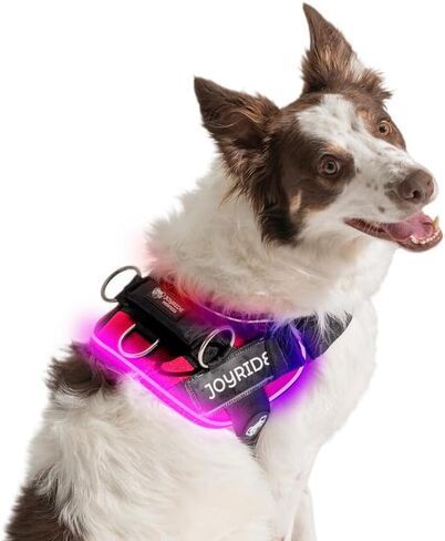 سرج Joyride Harness LED المضيء للكلاب 2.0 - تصميم في انتظار الحصول على براءة اختراع، 3 أوضاع LED، إضاءة نابضة بالحياة قابلة لإعادة الشحن، منطقة بطاقة اسم قابلة للتخصيص، وزر تشغيل/إيقاف مريح لتعزيز سلامة الحيوانات الأليفة in Saudi Arabia