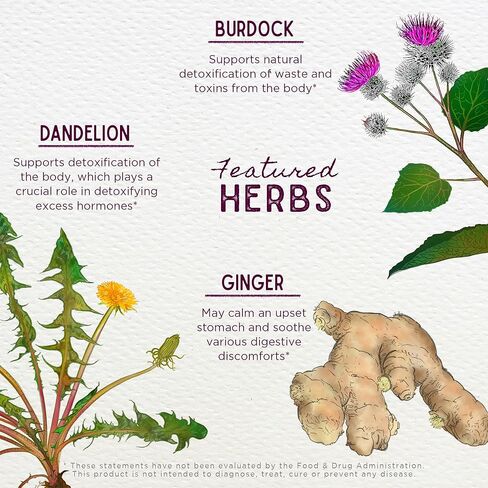 WishGarden Herbs دعم الغثيان الصباحي - مكمل دعم غثيان الصباح العشبي الطبيعي بالكامل مع أوراق النعناع والهيل، دعم الأشهر الثلاثة الأولى للنساء الحوامل، 2 أونصة in Kuwait