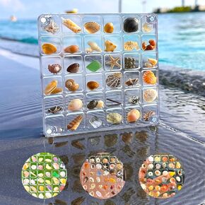 Acrylic Magnetic Seashell Display Box 36 Grids Seashell Storage Box Display Case Decorative Seashell Starfish Trinket, Small Craft Organizers Container for Bead, Nail, Jewelry, Manicure