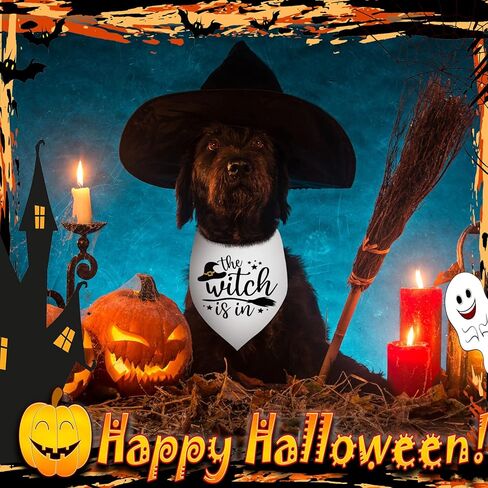 12 حزمة من عصابات الهالوين للعطلات للكلاب، مرايل على شكل مثلث قابل للعكس للكلاب، مريلة للكلاب من قماش باندانا مخصص قابل للتعديل مع أنماط بومة على شكل شبكة العنكبوت الخفافيش، 25 × 17 × 17 بوصة in Kuwait