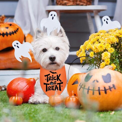 12 حزمة من عصابات الهالوين للعطلات للكلاب، مرايل على شكل مثلث قابل للعكس للكلاب، مريلة للكلاب من قماش باندانا مخصص قابل للتعديل مع أنماط بومة على شكل شبكة العنكبوت الخفافيش، 25 × 17 × 17 بوصة in Kuwait