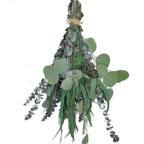 22 PCS Dried Eucalyptus for Shower Bundle, 17'' Real Large Preserved Eucalyptus Stems Shower Plants for Hanging, Fresh Eucalyptus Leaves, Fragrance, DIY Artificial Plant, Home SPA Bathroom Vase decor.