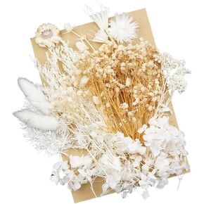 Dried Real Flowers Preserved Materials Epoxy Resin Candles DIY Floral Materials Hydrangea Set Flowers (Color 1)