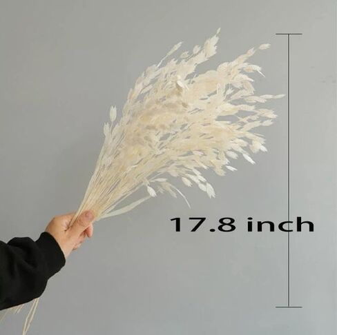 Dried Grass Bundle, 20 Stems 15-17 Inch Natural Chasmanthium Flower Bouquet for Vase, DIY Floral Arrangements, Weddings Party Home Baby Shower Elegant Decor (Pink) in Saudi Arabia