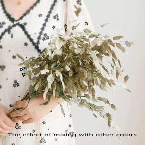 Dried Grass Bundle, 20 Stems 15-17 Inch Natural Chasmanthium Flower Bouquet for Vase, DIY Floral Arrangements, Weddings Party Home Baby Shower Elegant Decor (Pink) in Saudi Arabia