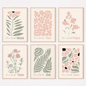Boho Botanical Wall Art Prints Blush Pink Canvas Wall Decor Flower Market Wall Art Poster Abstract Aesthetic Pictures Pink Floral Artwork for Room Bedroom Set of 6 8x10 Inch Unframed