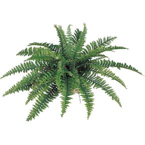 نبات سرخس بوسطن الاصطناعي مقاس 34 بوصة مع 42 سعفة حريرية خضراء نابضة بالحياة - نباتات خضراء صناعية مقاومة للأشعة فوق البنفسجية للاستخدام الداخلي والخارجي | مثالية للمنزل والفناء والحديقة وديكور المكتب in Kuwait