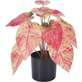 Fake Potted Pink Caladium Plants - Artificial Plants Indoor 15.8" Faux Taro Plant in Pots for Home Decor Office Desk Bathroom Bedroom Greenery Decoration