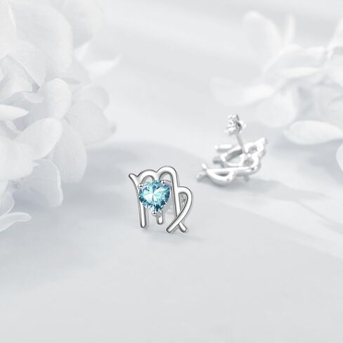 Zodiac Sign Earring with Birthstone 12 Constellation Stud Earrings Sterling Silver Zodiac Sign Stud Earrings Gifts for Women Girls in Kuwait