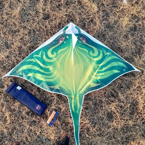 Devil Fish Kite for Kids Ages 4-12, Easy to Fly Beach Kites for Adults in Kuwait