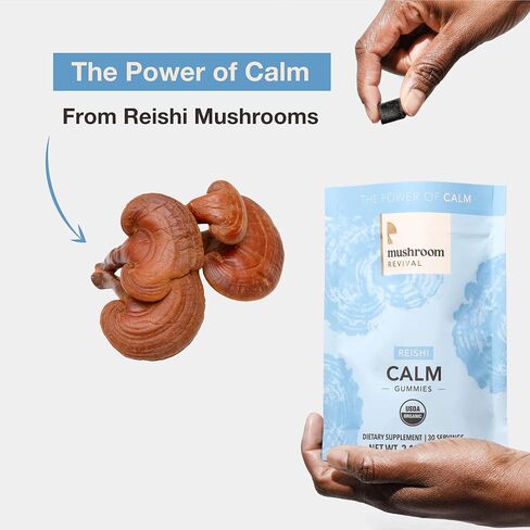 إحياء الفطر، عضوي، علكة ريشي الهادئة، 2.12 أونصة، غير معدلة وراثيًا، نباتي، خالي من الغلوتين، كيتو، خالي من منتجات الألبان in Kuwait