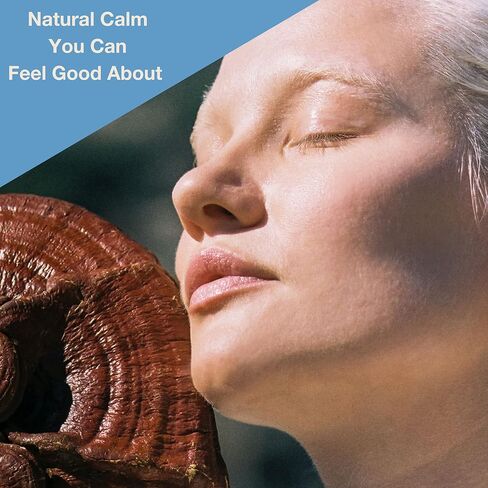 إحياء الفطر، عضوي، علكة ريشي الهادئة، 2.12 أونصة، غير معدلة وراثيًا، نباتي، خالي من الغلوتين، كيتو، خالي من منتجات الألبان in Kuwait